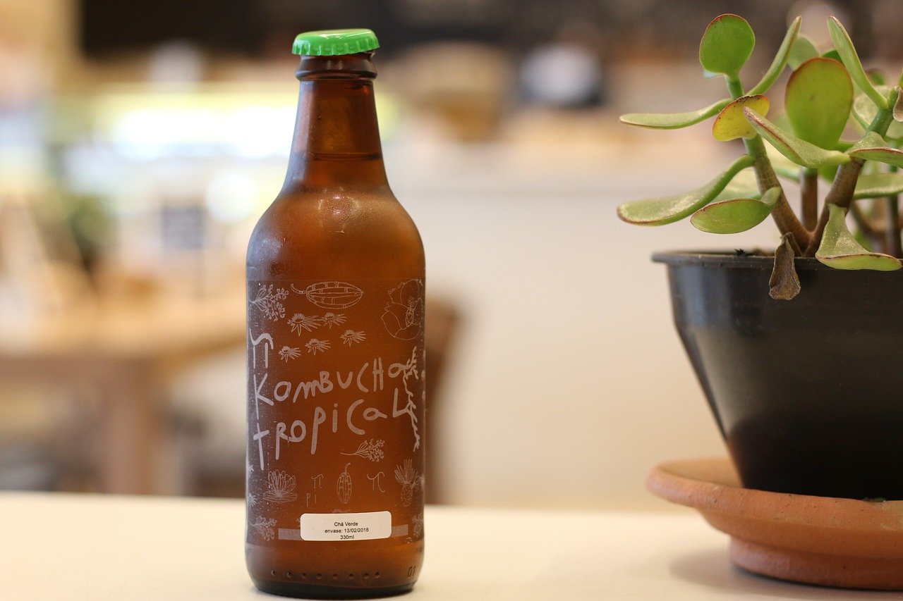 Co Je Kombucha