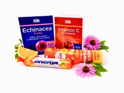echinacea6